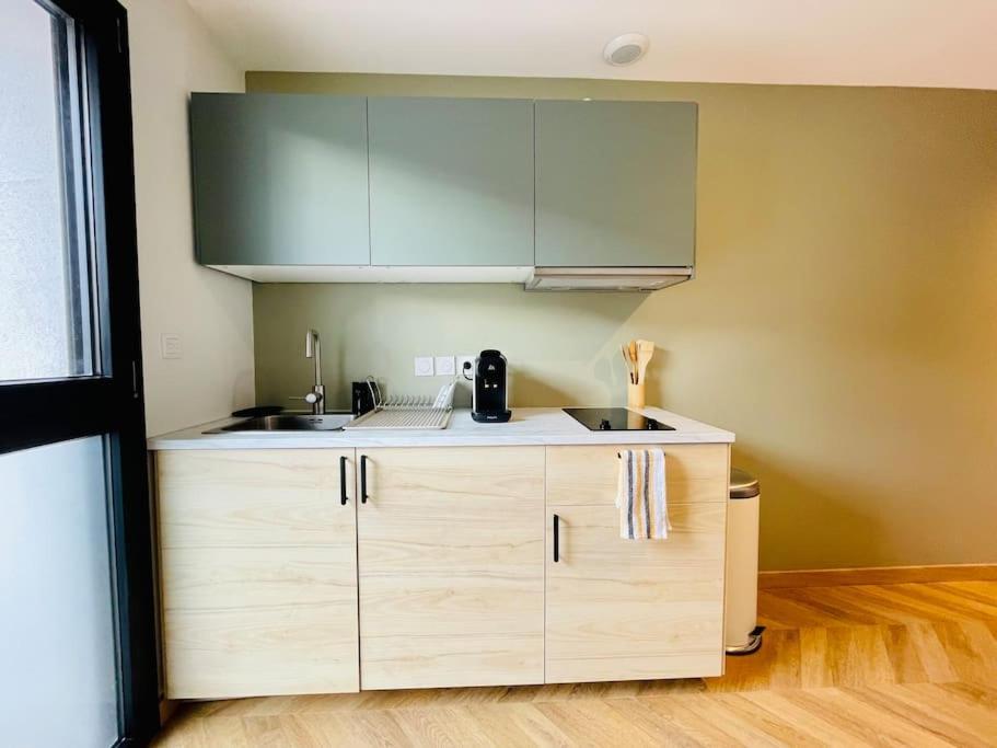 Le Flachet - Climatisation - Wifi Apartman Villeurbanne Kültér fotó